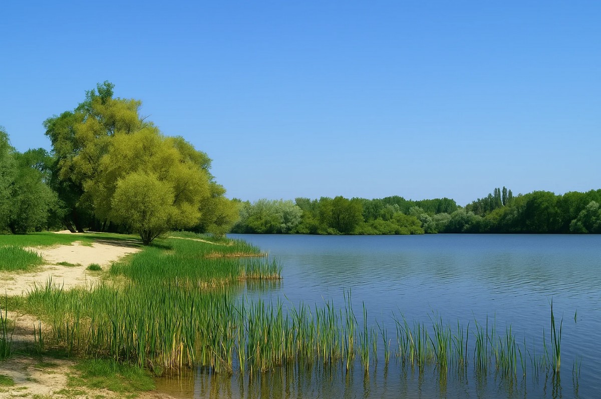Mŕtve rameno Váhu – prírodná oáza oddychu v Komárne